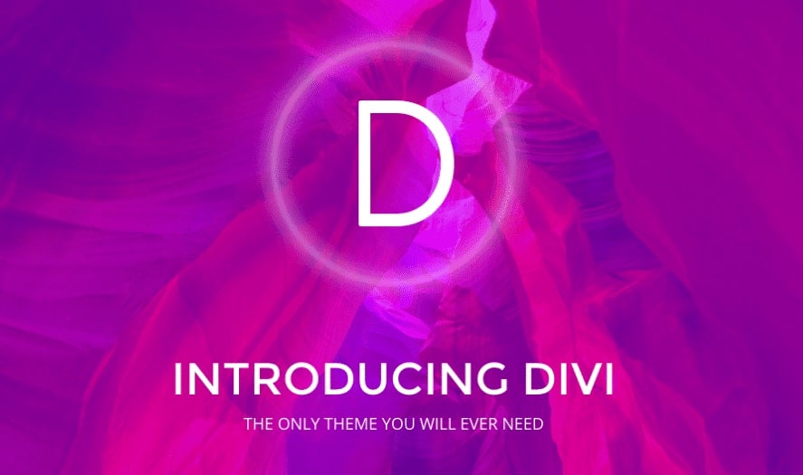 Divi theme