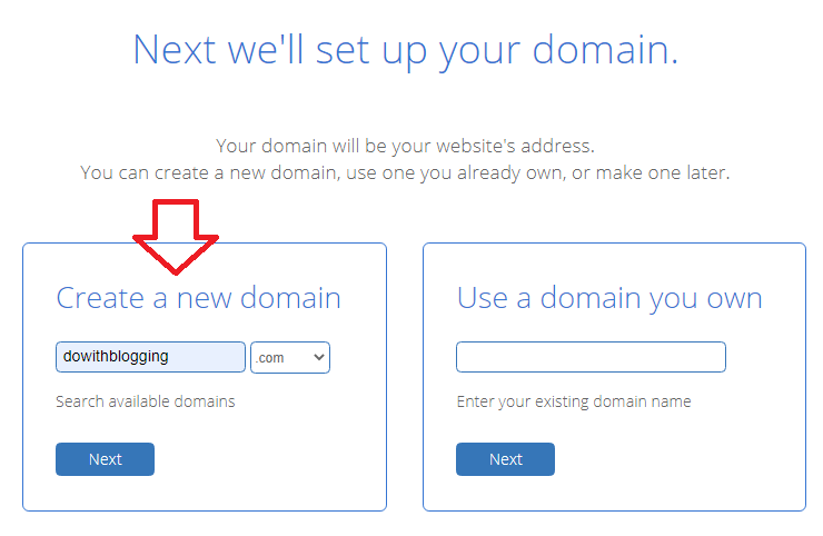 bluehost domain option 